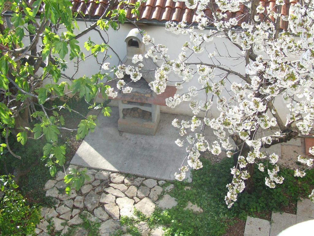 Villa Dalmatia Zadar Eksteriør bilde